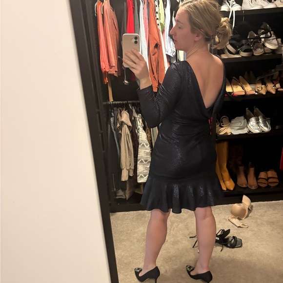 Metallic Long Sleeve Fit/Flare Dress - Picture 3 of 3
